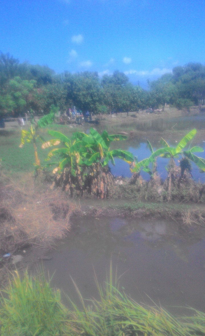 Sisa Sisa Banjir Pasuruan 30 Juni 2022 Mercon Motor Sisa Sisa Banjir Pasuruan 30 Juni 2022 Mercon Motor